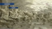 Замість білої зими – брудна жижа зими
