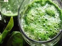 Водорість спіруліна – все що ви про неї не знали! водорість