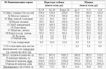всесезонний