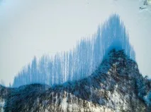 хотіли