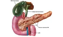 холецистопанкреатит