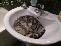 таким