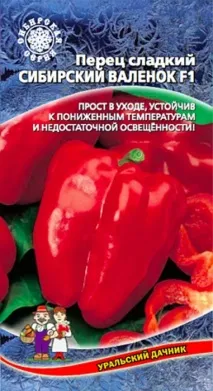 Замочування насіння перцю перед посадкою на розсаду перед