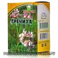 Квіти гречки, корисні властивості та протипоказання - Популярне про здоров’я протипоказання