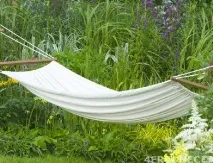 Дачні будівлі своїми руками курник, тераса, сарай для кроликів руками