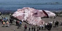 Жахливі чудовиська морських глибин, Світ Знань жахливі