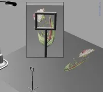 3d картини на асфальті асфальті