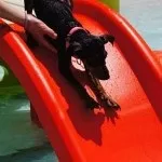 Аквапарк для собак в Ла Рока Дель Вальєс, Іспанія, Аквапарки Укаїни та Краснодарського краю, рока