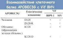 Аналоги білка APOBEC3G у тварин аналоги