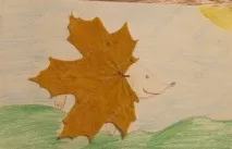 Аплікація Їжачок з листя клена для 1 класу з фото та відео Аплікація