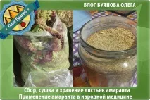 листя