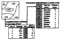 3.8. Растровий спосіб цифрового представлення просторових даних растровий