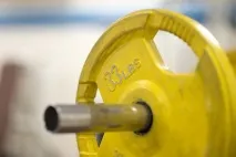 Барсуковий жир при геморої дію та спосіб застосування барсуковий