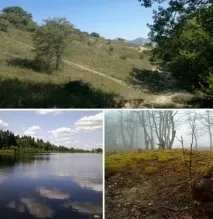 Зачарована. зачарована. Духи "Злато скіфів" від "Нової зорі". Nouvelle Etoile, parfém Or Des Scythes злато