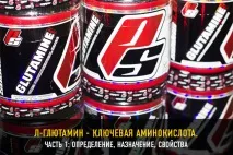 Л-глютамін. Ключова амінокислота. Частина 1. л-глютамін