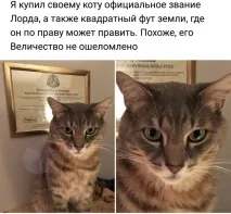 РАН призупинила присвоєння звання почесного професора патріарху Кирилу. Слава розуму почесного