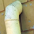 діагноз