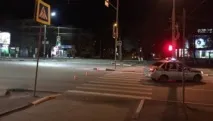 Дев’ятирічну дівчинку загризла зграя бродячих собак ятирічну