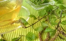 Діготь березовий від паразитів лікування, застосування внутрішньо, відгуки лікування