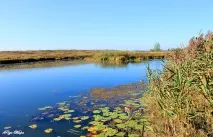 Село Кижани Камешківського району - Камешково - Історія - Каталог статей - Любов безумовна камешківського