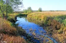 Село Кижани Камешківського району - Камешково - Історія - Каталог статей - Любов безумовна село