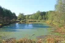 Село Кижани Камешківського району - Камешково - Історія - Каталог статей - Любов безумовна кижани
