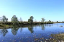 Село Кижани Камешківського району - Камешково - Історія - Каталог статей - Любов безумовна село