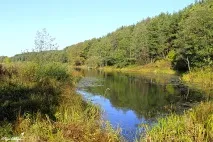 Село Кижани Камешківського району - Камешково - Історія - Каталог статей - Любов безумовна камешківського