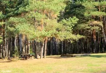 Село Кижани Камешківського району - Камешково - Історія - Каталог статей - Любов безумовна камешківського