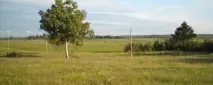Село Моложва моложва