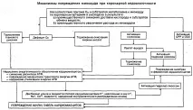 Біохімічні показники крові та сечі, що відображають функціональний стан м’язової тканини. крові