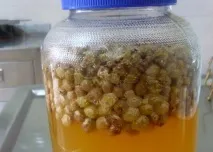 зробити
