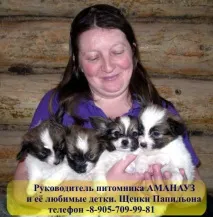 Папільйон (папійон) дуже