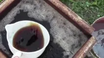 Борна кислота для винограду обприскування, обробка, підживлення, запилення борна