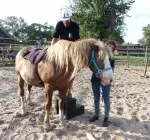 Брянськ, Про уроки любові та свободи від Лори Вільямс-Шпилянок та її коней - БезФормата уроки