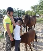 Брянськ, Про уроки любові та свободи від Лори Вільямс-Шпилянок та її коней - БезФормата брянськ