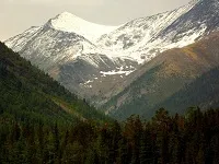 Цілющі властивості цілющі