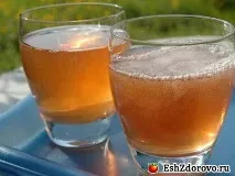Чайний гриб корисні властивості чайний