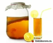 Чайний гриб корисні властивості чайний
