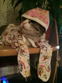 прикрасити