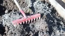 Що можна удобрювати золою рослин