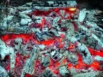 Що можна удобрювати золою рослин