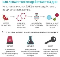 Що роблять хіміки та біологи в ЕРАМ роблять