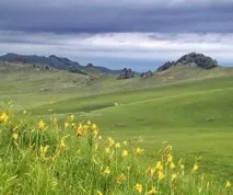 цікаві