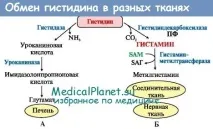 діагностика