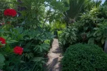 Дендрарій Трстено (Trsteno) видно
