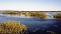 визначні