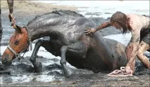 новини