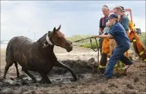 пляжі