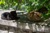 Пам’ятки Залізничника та прогулянка терренкуром ятки